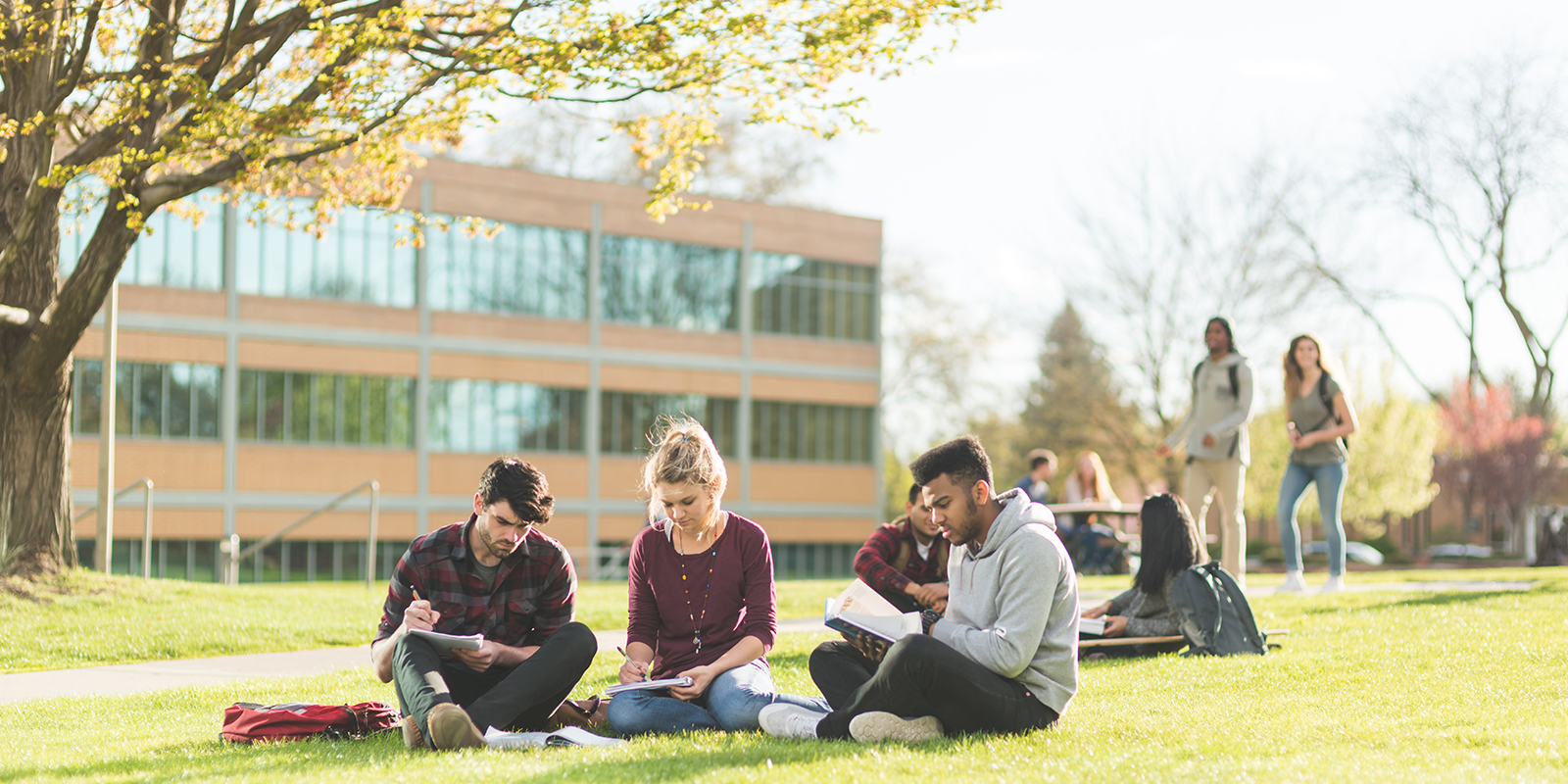 Iowa Tuition Grant